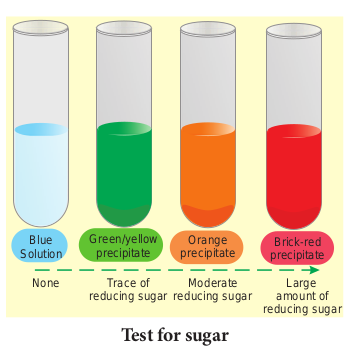 Test for sugar