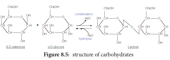  structure of carb  