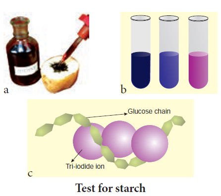 Test for starch