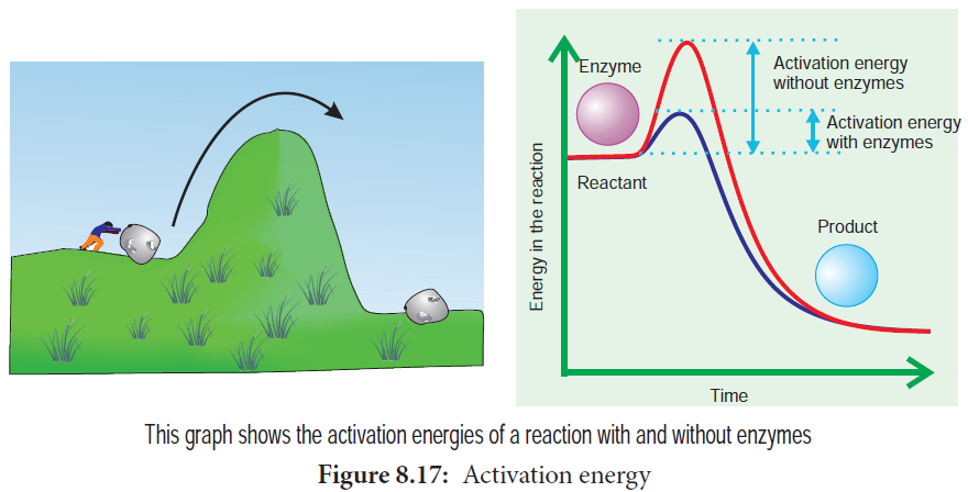 Activation energy