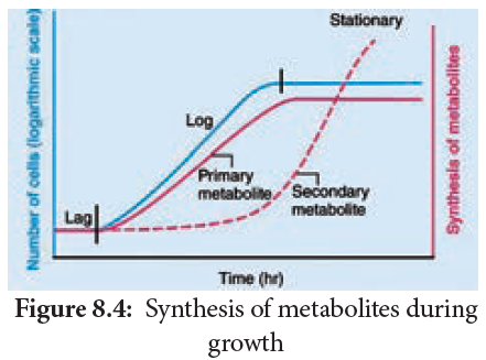  Synthesis of metabolites during growth