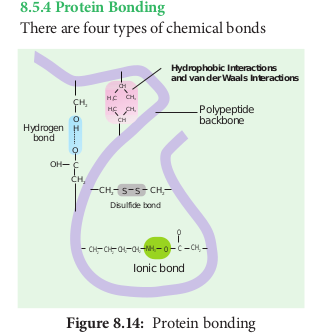 Protein bonding