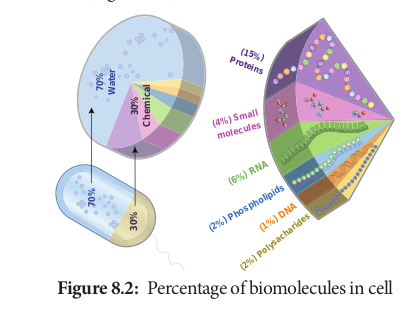  Percentage of biomolecules in cell