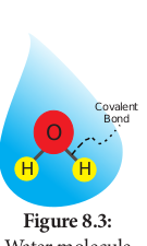  Water molecule