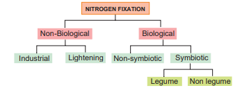  Nitrogen fixation