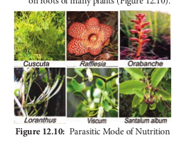  Parasitic Mode of Nutrition