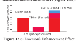  Emerson’s Enhancement Effect