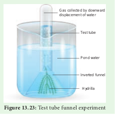  Test tube funnel experiment