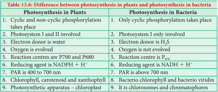 Photosynthesis in palnts and bateria