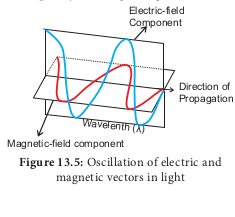  Oscillation of electric and magnetic vectors in light  