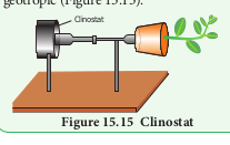 Clinostat