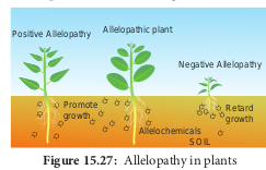  Allelopathy in plants