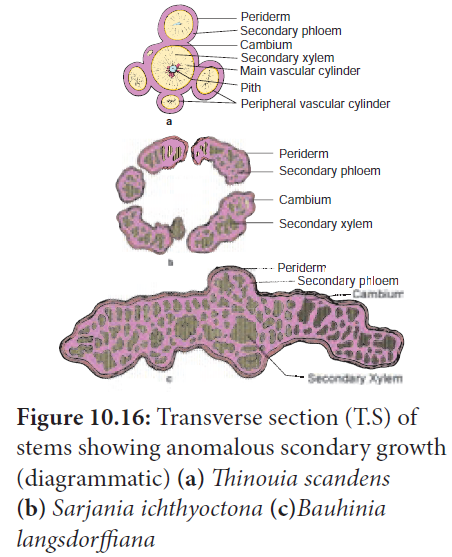 Transverse