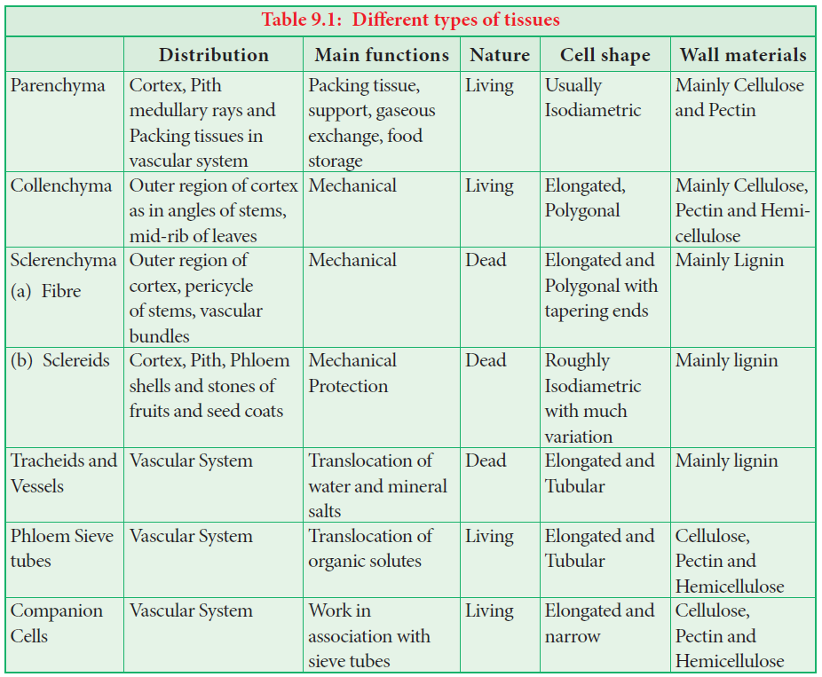 ![different types of tissues]