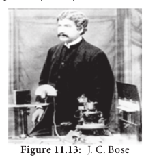  J. C. Bose  