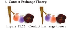  Contact Exchange theory 