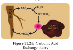  Carbonic Acid Exchange theory