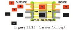  Carrier Concept The concept can be explained using two theories: 