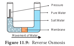 Reverse Osmosis