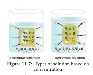 Types of solution based on concentration