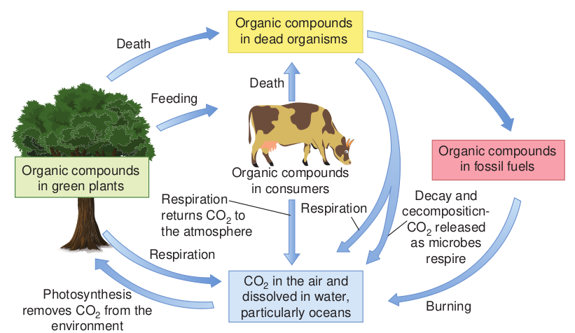 A simplified diagra  