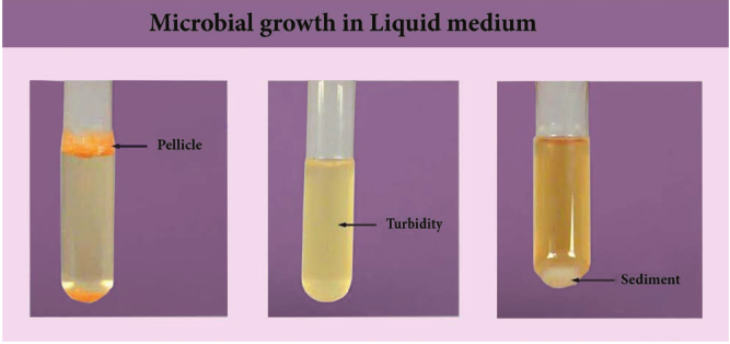 Microbial gr  