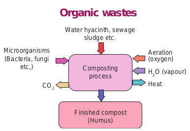 Composting process