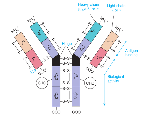 Structure o  