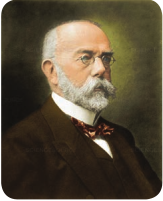 Robert Koch (1843-1910)  