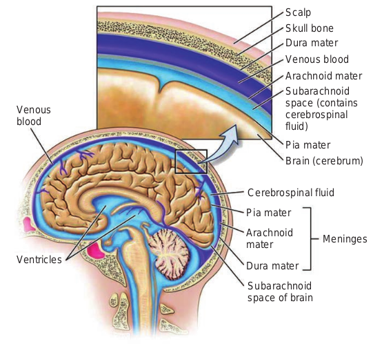 Structure o