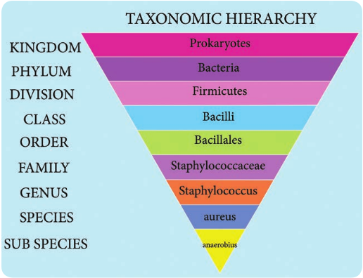 Taxonomic hierarchy-an exam  