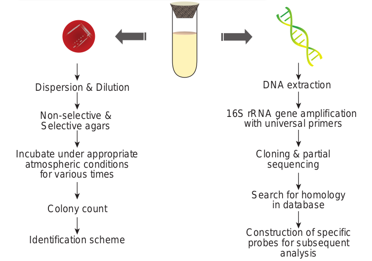 General scheme for classification  