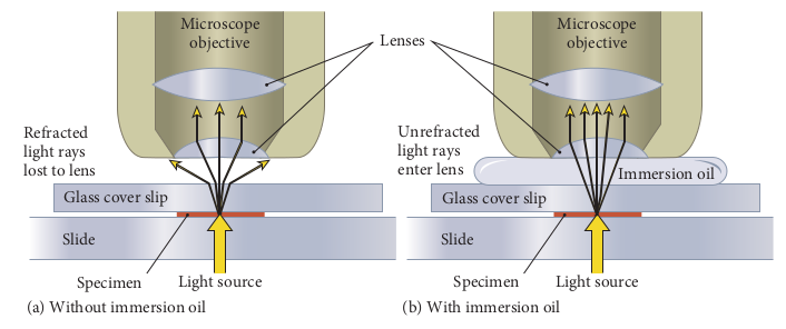 Oil Immersion O  