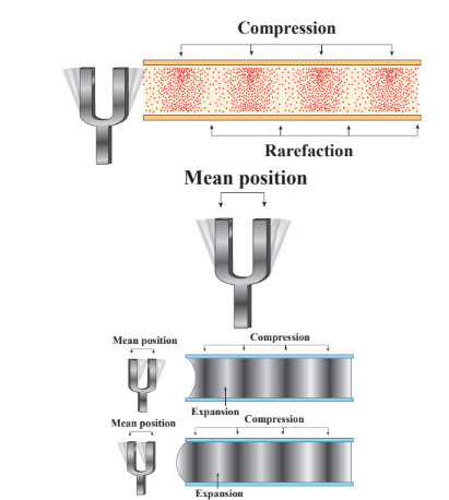 Figure 11.5 Waves due to strike of a tuning fork on a rubber pad