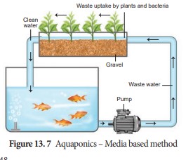 Aquaponics-Media based method