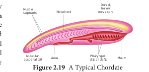 Figure 2.19