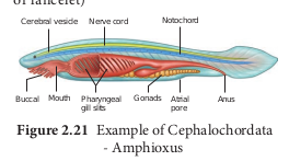 Figure 2.21