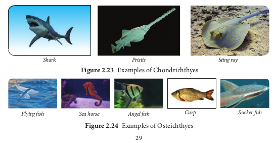 Figure 2.23