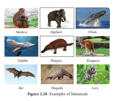 Figure 2.28