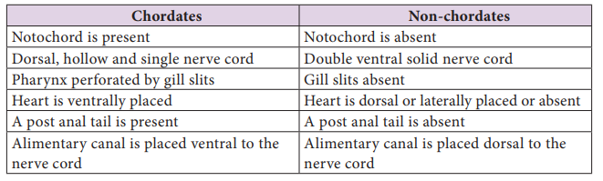 Figure 2.31