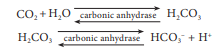 Equation 1