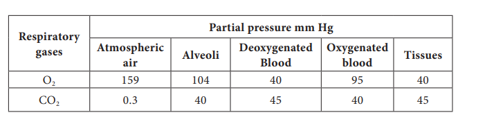 Partial pressure of Oxygen and Carbon dioxide (in mmHg) in comparison to those gases in the atmosphere