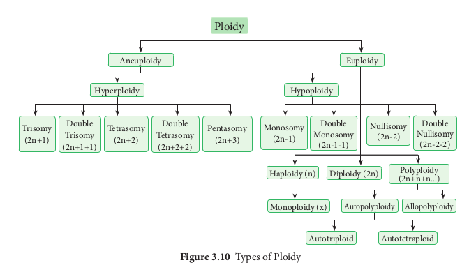 Table 3.7: Major types of mutations