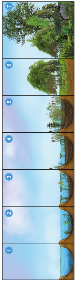 Diagrammatic sketch shows stratification of Pond ecosystem