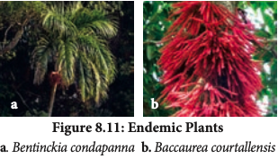 Table 1 : Endemic plants