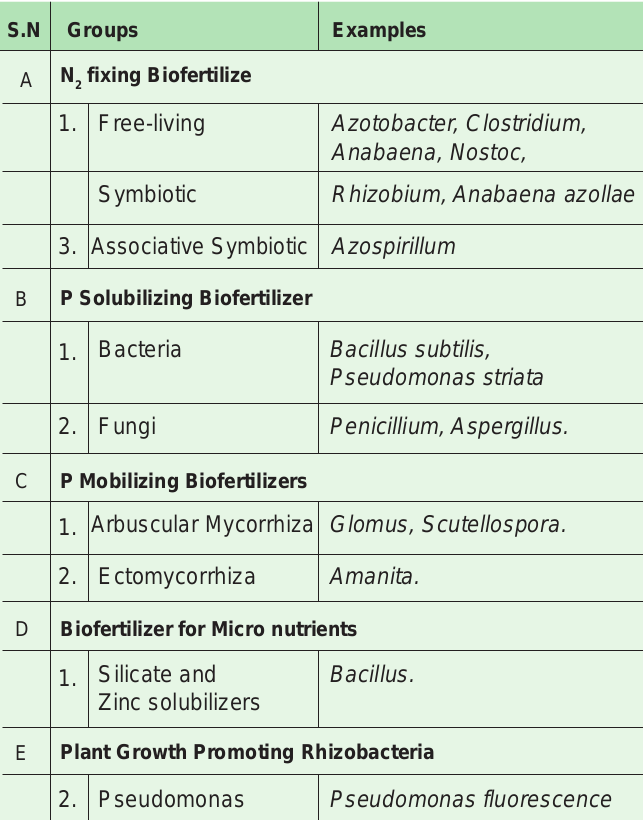 Classification of Biofertilizers