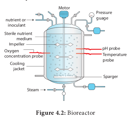 Figure 4.2: Bioreactor