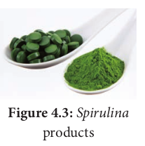 Figure 4.3: Spirulina products