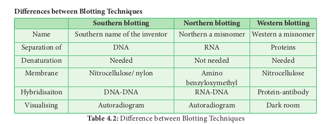 Table 4.2: Difference between Blotting Techniques