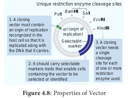 Figure 4.8: Properties of Vector